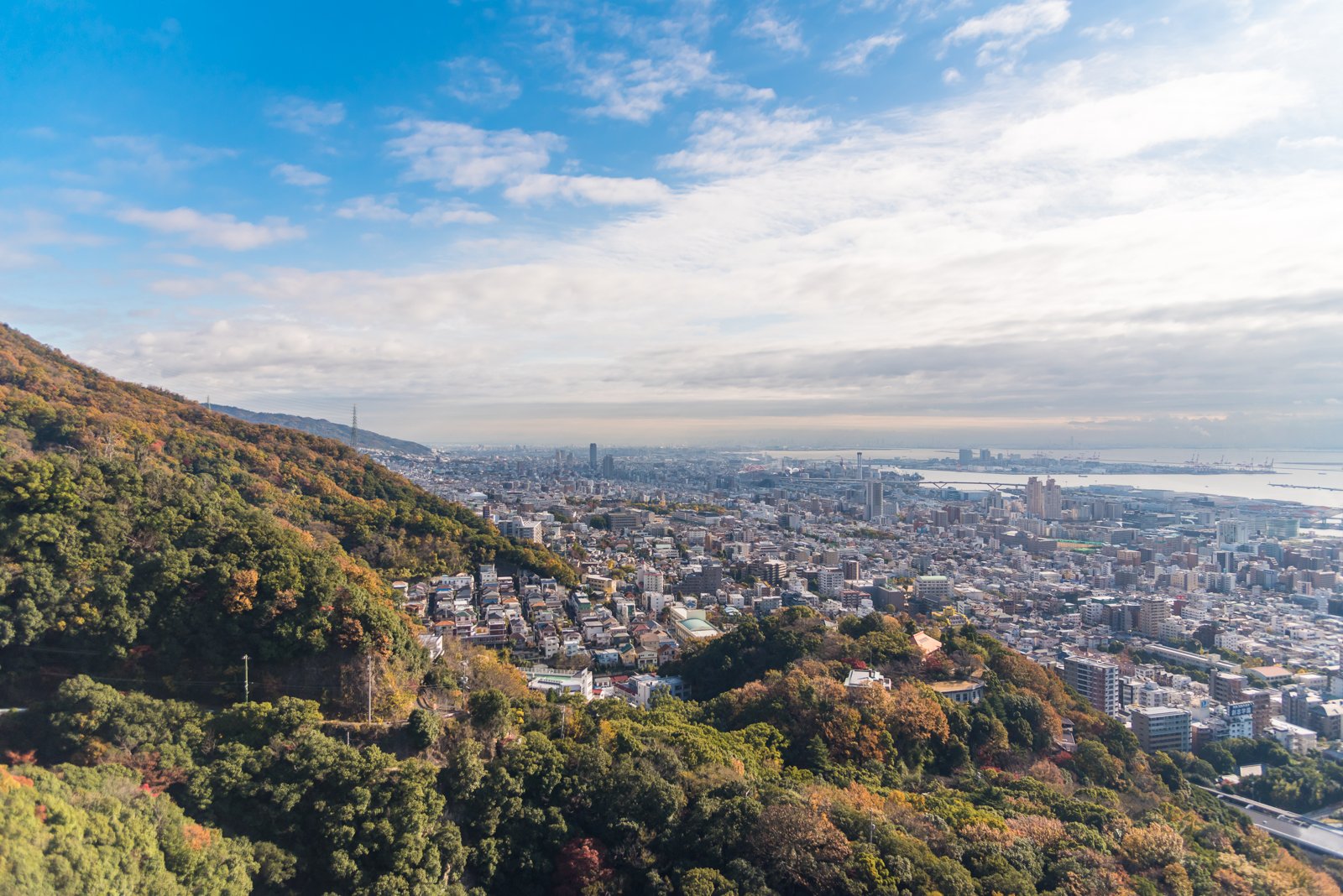山からの風景